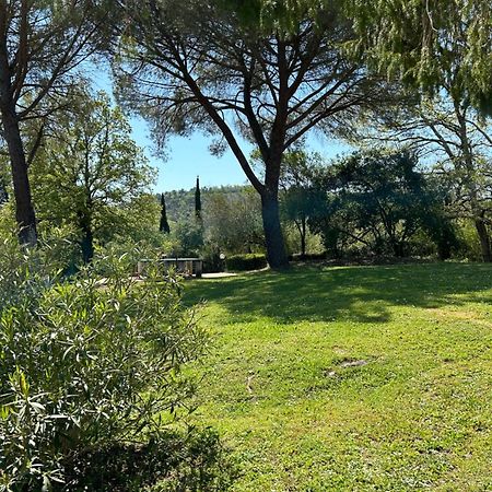 Campo Di Carlo Guest House Sassetta Eksteriør bilde