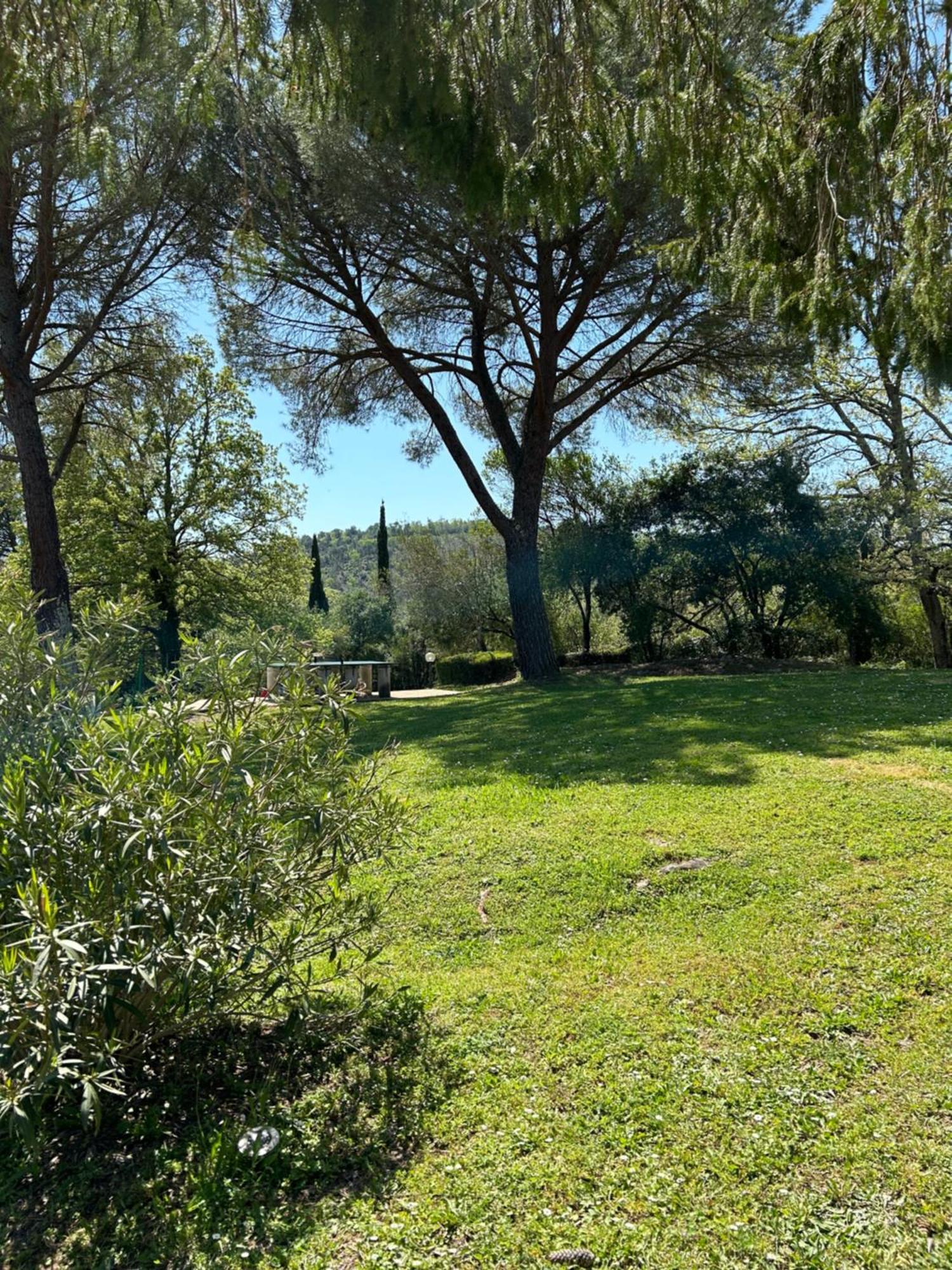 Campo Di Carlo Guest House Sassetta Eksteriør bilde
